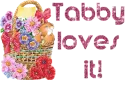 Tabby loves it!