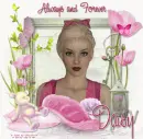 Always & forever Daisy