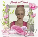 Always & Forever  Carla