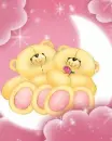 bears