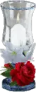 Vela