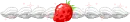 Strawberry divider