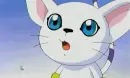 Gatomon