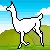 Llama