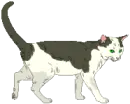 ~ Gatti