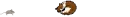 ~ Gatti