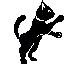 ~ Gatti