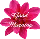 Pink flower with Good Morning