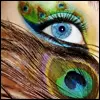Peahen Eye
