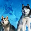 Husky