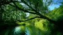 GREEN RIVER