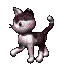Kitty