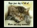 Have a warm and cozy day!