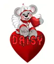 daisy