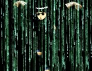 Rock Lee in the matrix