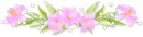 Flowers png