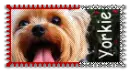 Yorkie Stamp