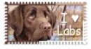 Lab