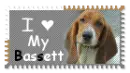 I love My Bassett