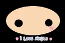 I Love Ninjas