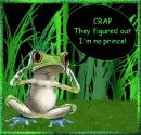 Frog saying I am not a prince