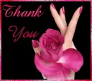 Hand holding pink rose saying thank you