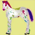 Rainbow Foal