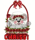 chrissi