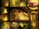 Peaceful Scenery Background