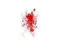 Spash