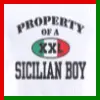 Property of a Sicilian Boy