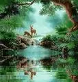 nature and deer 
