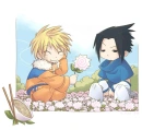 naruto and sasuke