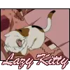 Lazy cat