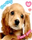 Darling i love you