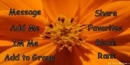 Orange Flower