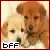 Best Friend Puppies