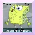 Fluent Idiot