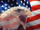 eagel