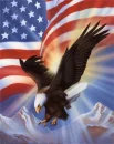 eagle
