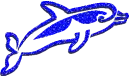 dolphin