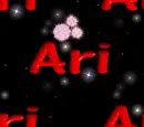 Ari