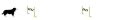 jumping
