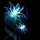 Blue Flower