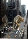 Godzilla cat