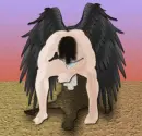 Fallen angel