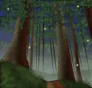 Magic forest