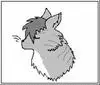 Cat in the Wind