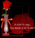 A Rose
