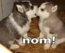 cute! :D